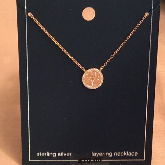 Sterling Jewelry - NWT. Rose Gold over Sterling Silver Necklace